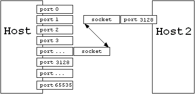 TCP/IP: логическая структура соединений через сокеты